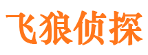 望江外遇调查取证